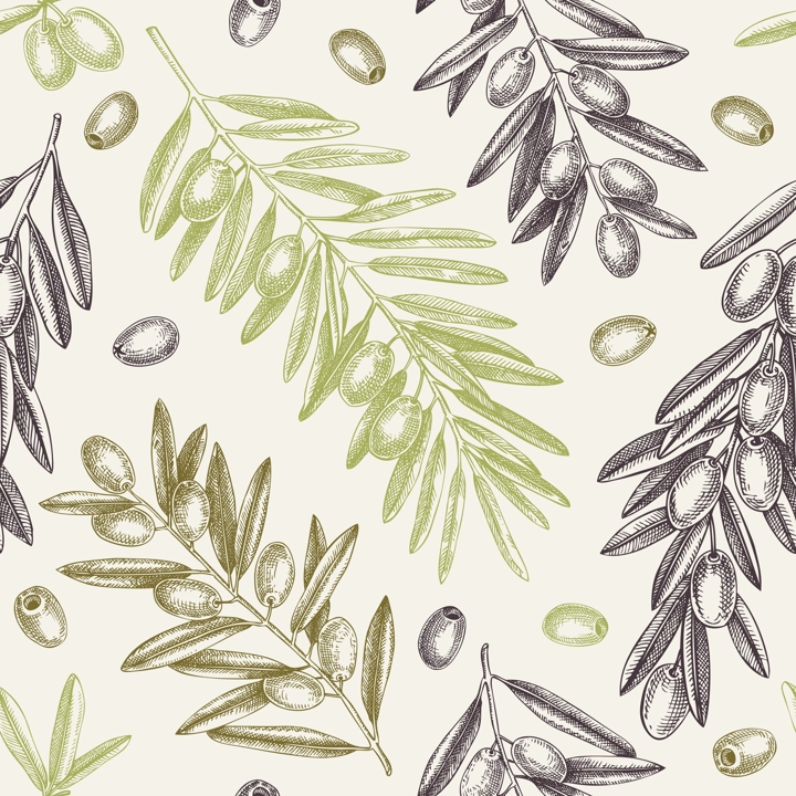 Olive branch seamless pattern. Vector background with leaves, berries and fruits sketches in vintage style. Vegetable oil ingredients backdrop. Olive tree texture for print or packaging design